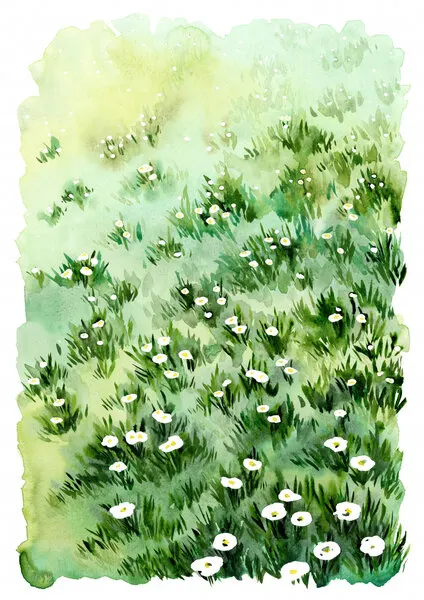 Green Meadow Flowers, wall art by Rosana Laiz Blursbyai