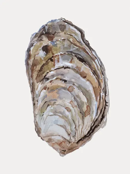 Oyster's Elegance, wall art by Treechild