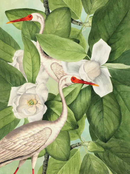 White Ibis Magnolias, wall art by Marja van den Hurk