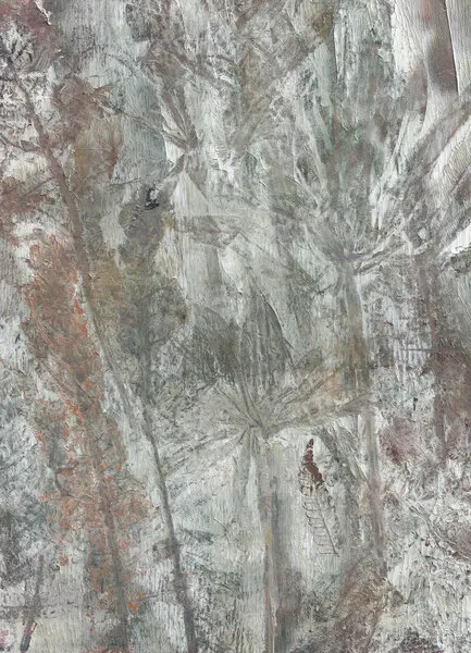 Subtle Natural Forms, wall art by Maira Ribena