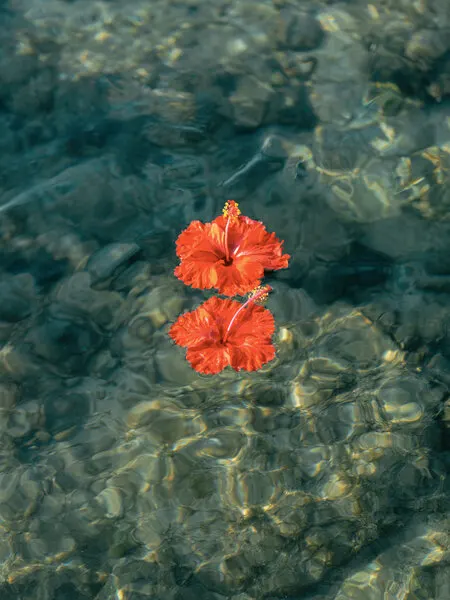 Crimson Drift, wall art by Raisa Zwart