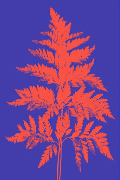 Xmas Christmas (2025) – 00008, wall art by Kubistika