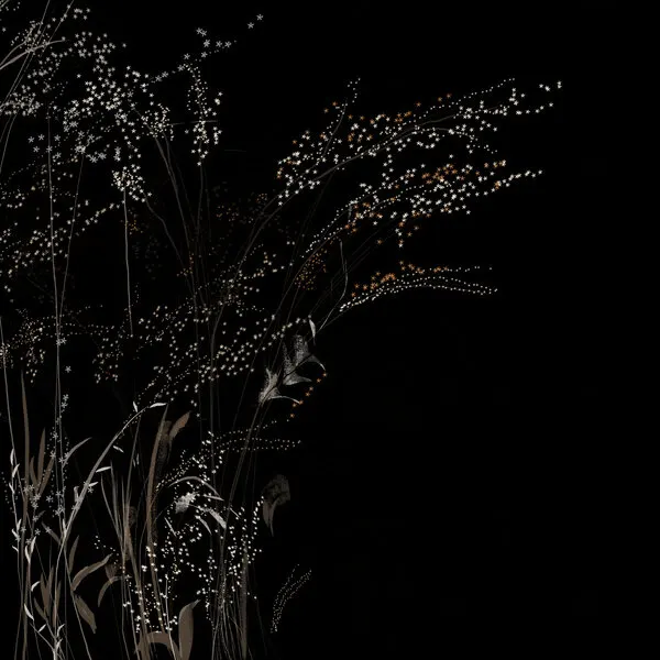Delicate Night Stems, wall art by Josie George