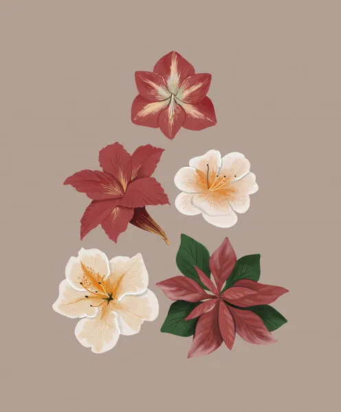 Christmas Flowers, wall art by Anis Illustration