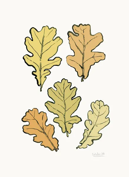 Autumn Oak Leaves, wall art by Catalina Somolinos