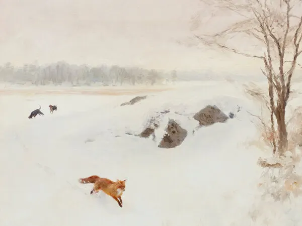 Red Fox Winter Pursuit, wall art by Jolly and Dash
