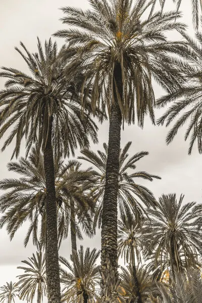 Sicilian Memories 17, wall art by Mareike Böhmer