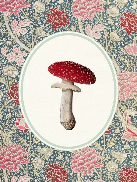Vintage Mushroom Floral Pattern, wall art by Wild Violets