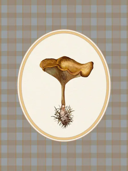 Autumn Mushroom Plaid, wall art by Wild Violets