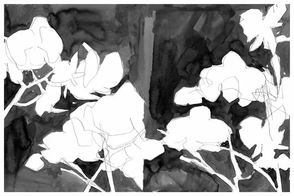 Elegant Night Blooms, wall art by cartissi