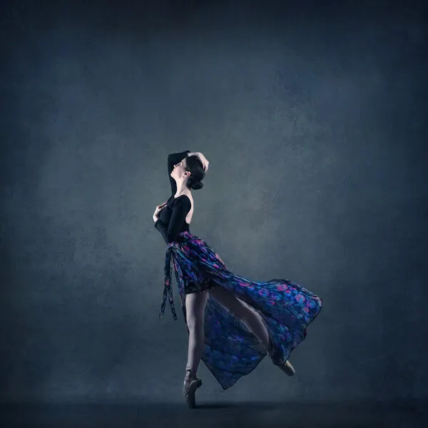 Graceful Ballet Dancer, wall art by Moein Hasheminasab