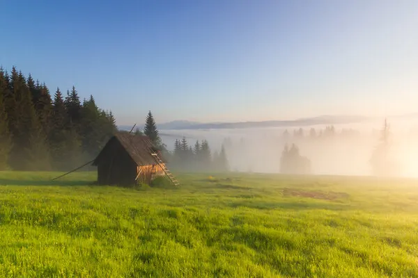 Misty Meadow Morning Hut, wall art by ADRIAN TUDOSE