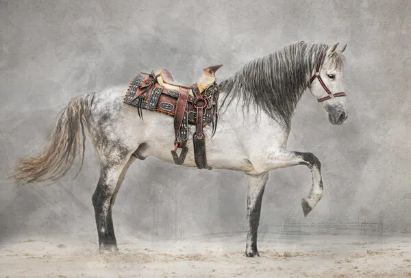 Majestic Dapple Horse, wall art by Julie Tennant