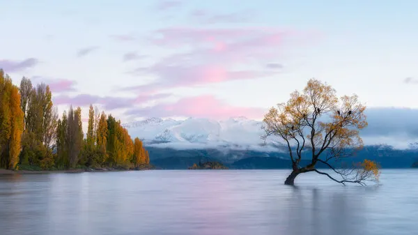 Golden Autumn Lake Tree, wall art by Johnny Zhang