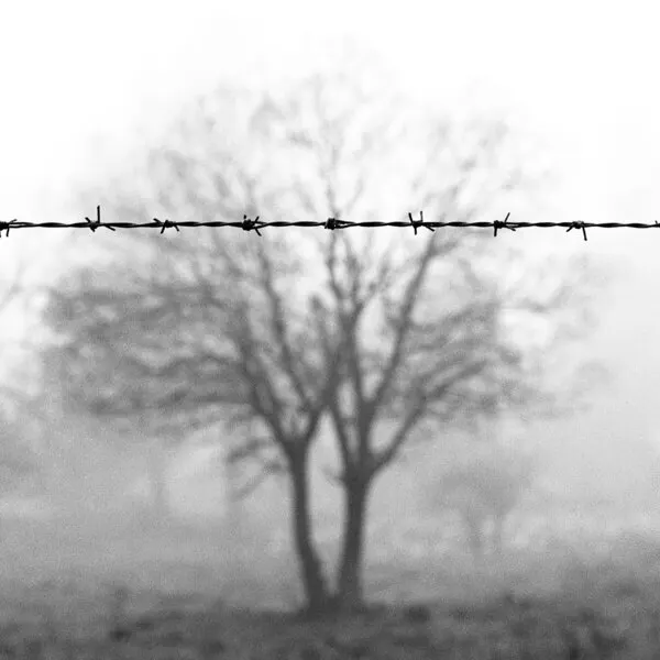 Barbed Wire Fog, wall art by Wagdi Kala