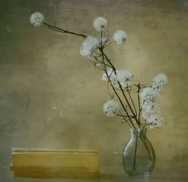 Serene Fluffy Flowers, wall art by Delphine Devos