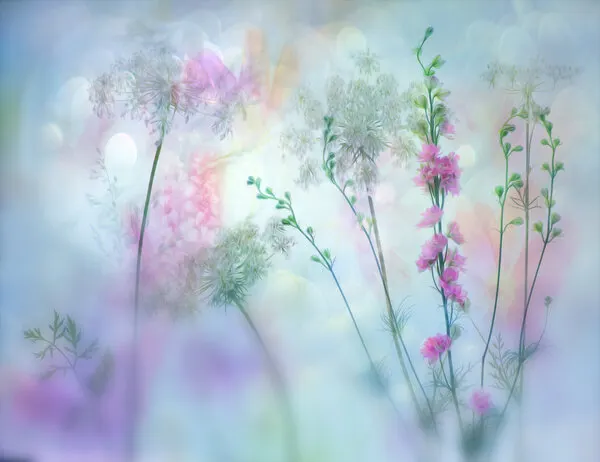 Ethereal Pastel Blooms, wall art by Hilda van der Lee