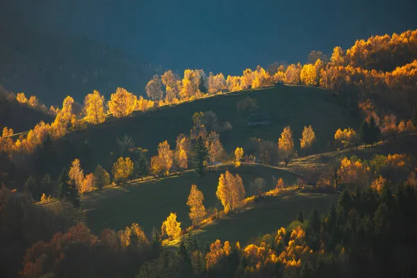 Golden Autumn Hills, wall art by Lazar Ioan Ovidiu