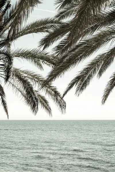 Tropical Ocean Palms, wall art by Pictufy Studio III