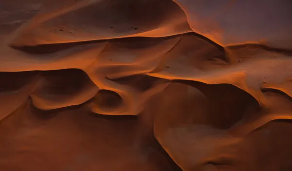 Golden Desert Sands, wall art by Isam Telhami