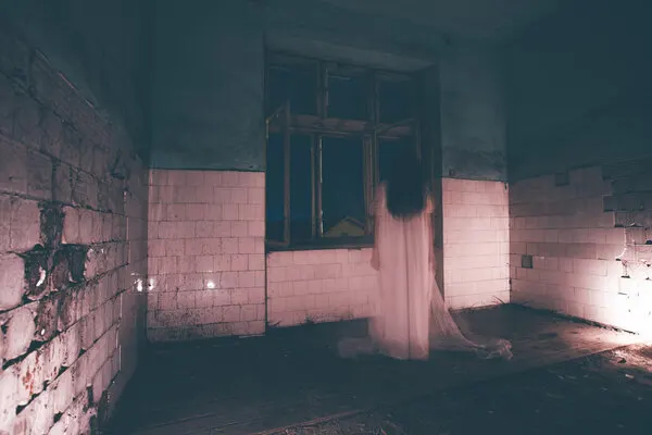 Haunting Spirit Dark Room, wall art by Eros Erika