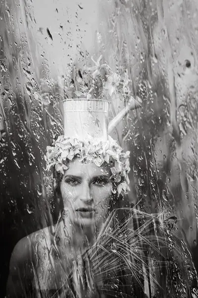 Rainy Garden Portrait, wall art by iuliana pasca