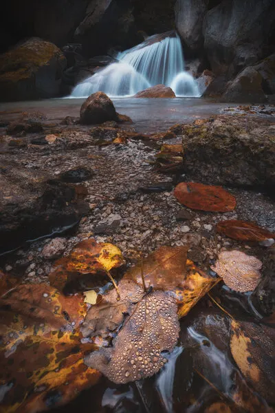 Waterfall and Autumn Leaves, wall art by Masaki Sugita
