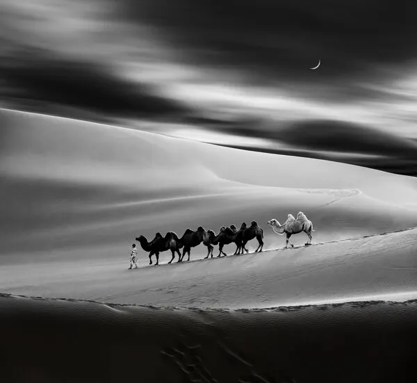 Moonlit Desert Caravan, wall art by Hsiao-Yang Fei
