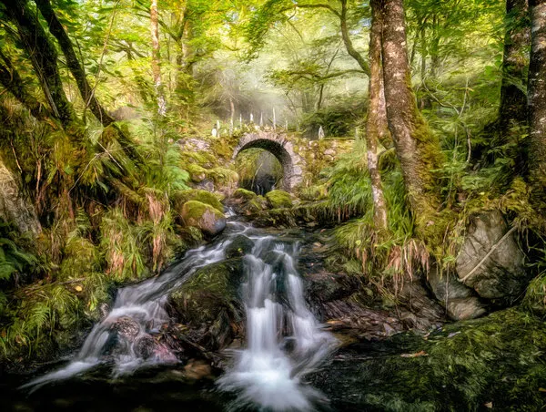 Enchanted Forest Stream Bridge, wall art by Lars van de Goor †