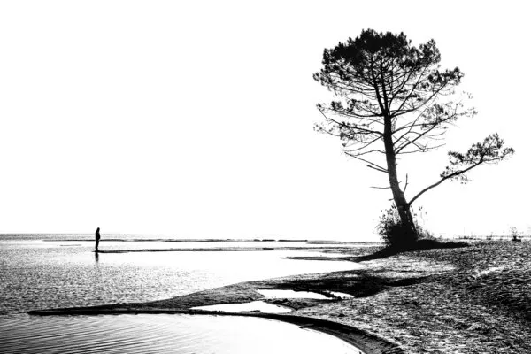 Solitary Figure Lone Tree, wall art by GARCIA Dominik