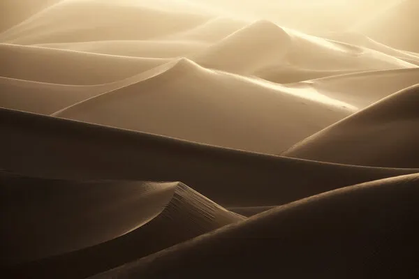 Golden Desert Dunes, wall art by Judith Kuhn