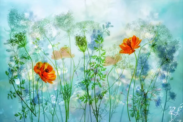 memories of summer, wall art by Hilda van der Lee