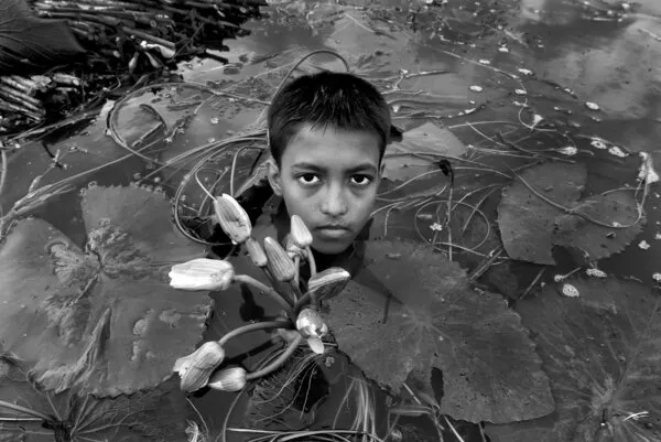 Boy Among Water Lilies, wall art by Abhraneel Chakraborty