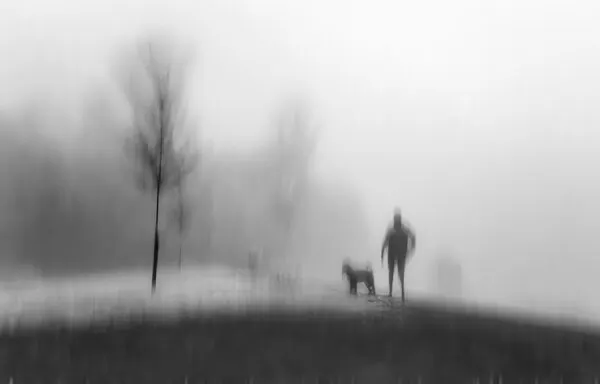 Foggy Winter Walk, wall art by Amer Jassim
