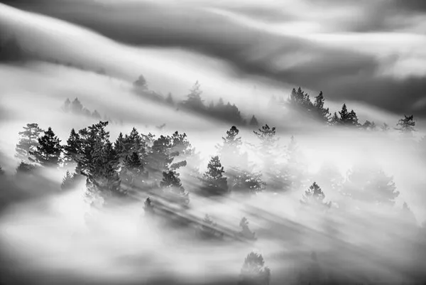Misty Forest Rays, wall art by Johnny Zhang