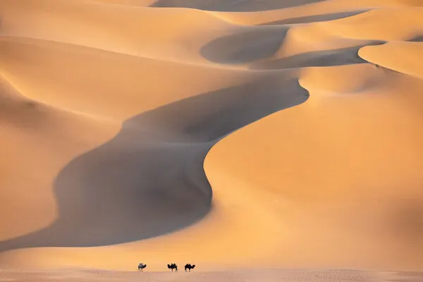 Golden Desert Dunes, wall art by Hsiao-Yang Fei