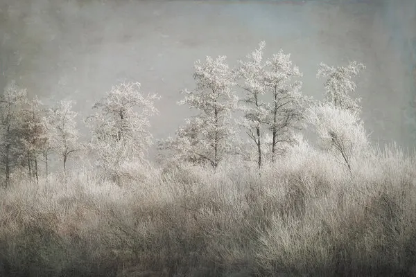 Cold morning, wall art by Nel Talen