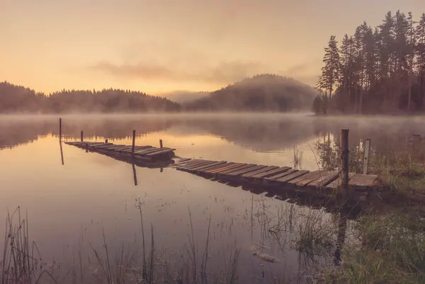 Misty Lake Pier, wall art by Zlatina Peeva