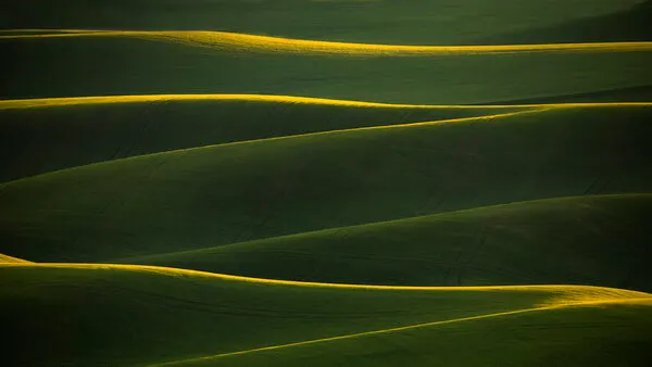 Golden Rolling Hills, wall art by Fion Wong
