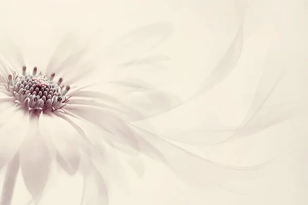 Endless, wall art by Jacky Parker