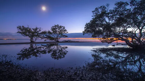 Twilight Coastal Reflections, wall art by Emanuel Papamanolis