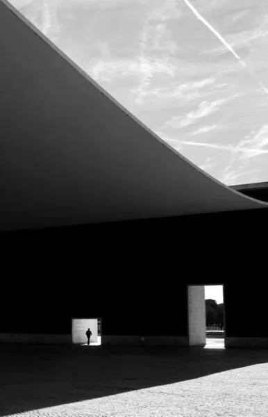 The search for light, wall art by Fernando Alves