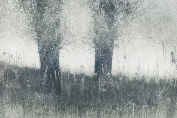 Memories, wall art by Nel Talen