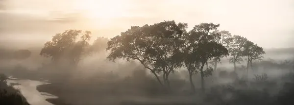 Misty River Morning, wall art by Nicola Molteni