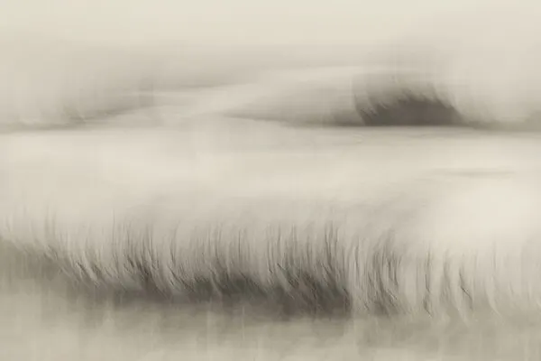 Waterside, wall art by Nel Talen