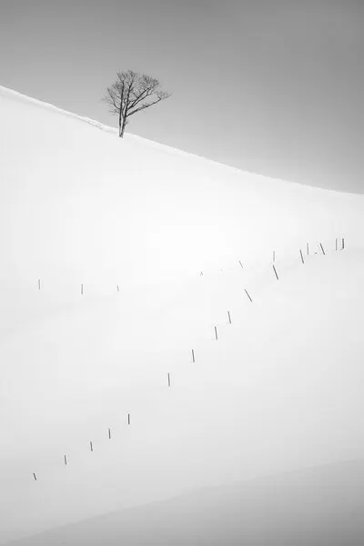 Minimal Winter Tree, wall art by Jana Luo
