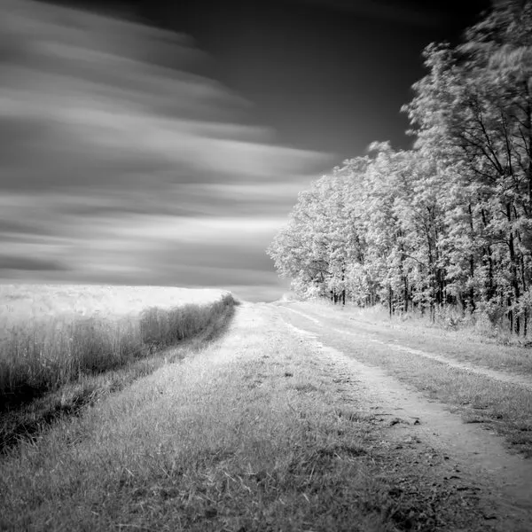 Ethereal Country Path, wall art by av peteghium