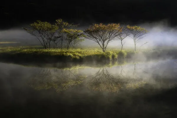 Misty Morning Reflection, wall art by Akira Nagase