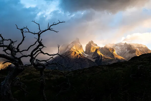 Golden Patagonia Peaks, wall art by Michel Groleau