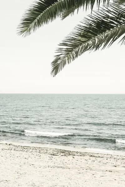 Ocean Palms Beach, wall art by Pictufy Studio III